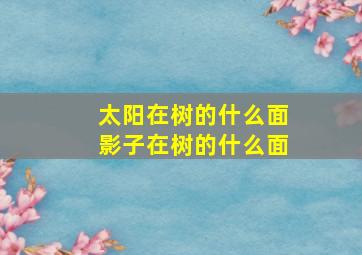 太阳在树的什么面影子在树的什么面