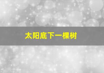 太阳底下一棵树