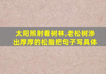 太阳照射着树林,老松树渗出厚厚的松脂把句子写具体