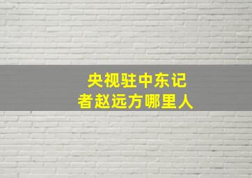 央视驻中东记者赵远方哪里人