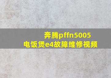 奔腾pffn5005电饭煲e4故障维修视频