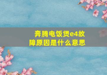 奔腾电饭煲e4故障原因是什么意思