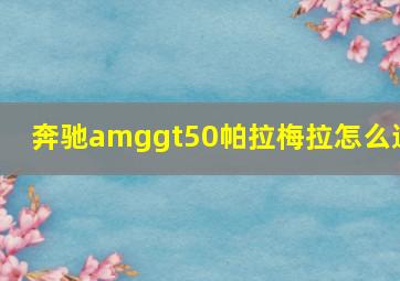 奔驰amggt50帕拉梅拉怎么选