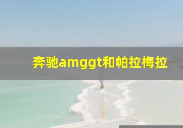 奔驰amggt和帕拉梅拉