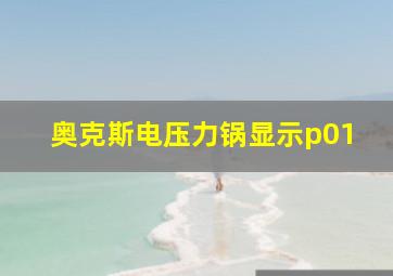 奥克斯电压力锅显示p01