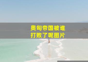 奥匈帝国被谁打败了呢图片