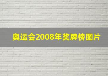 奥运会2008年奖牌榜图片