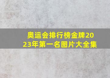 奥运会排行榜金牌2023年第一名图片大全集