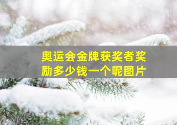 奥运会金牌获奖者奖励多少钱一个呢图片