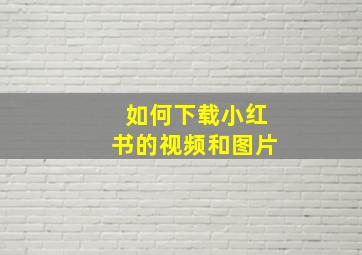 如何下载小红书的视频和图片