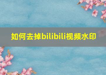 如何去掉bilibili视频水印