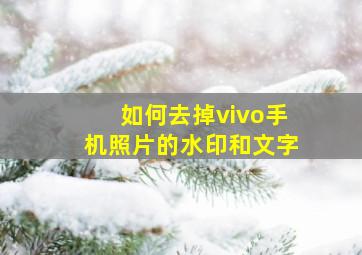 如何去掉vivo手机照片的水印和文字