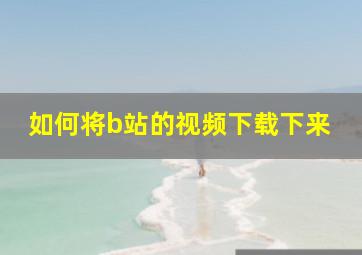 如何将b站的视频下载下来