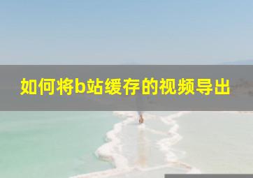 如何将b站缓存的视频导出