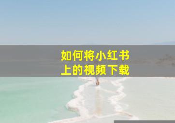 如何将小红书上的视频下载