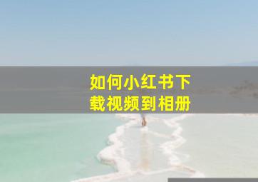 如何小红书下载视频到相册