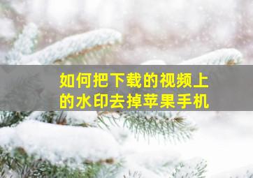 如何把下载的视频上的水印去掉苹果手机