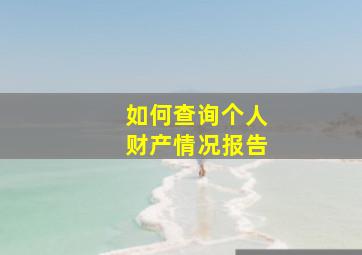 如何查询个人财产情况报告