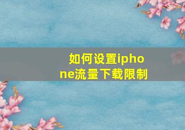 如何设置iphone流量下载限制