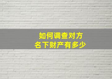 如何调查对方名下财产有多少