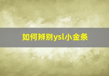 如何辨别ysl小金条