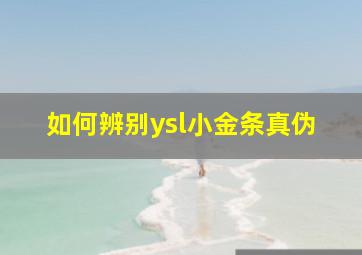 如何辨别ysl小金条真伪