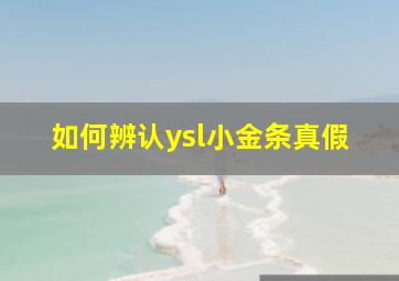 如何辨认ysl小金条真假