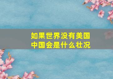 如果世界没有美国中国会是什么壮况