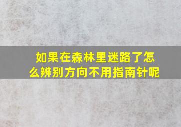 如果在森林里迷路了怎么辨别方向不用指南针呢