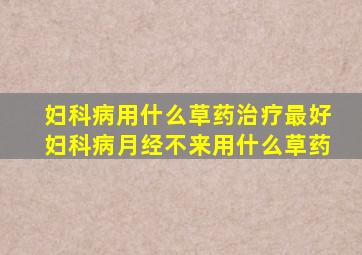 妇科病用什么草药治疗最好妇科病月经不来用什么草药