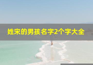 姓宋的男孩名字2个字大全