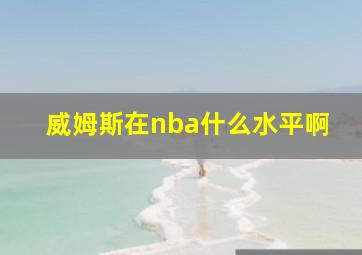 威姆斯在nba什么水平啊