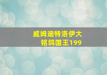 威姆迪特洛伊大铭鸽国王199