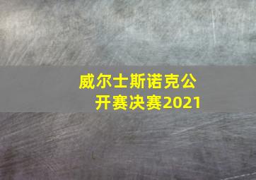 威尔士斯诺克公开赛决赛2021