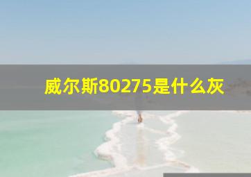 威尔斯80275是什么灰