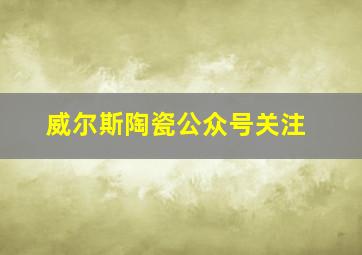 威尔斯陶瓷公众号关注