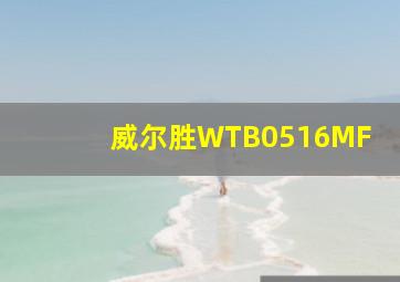 威尔胜WTB0516MF