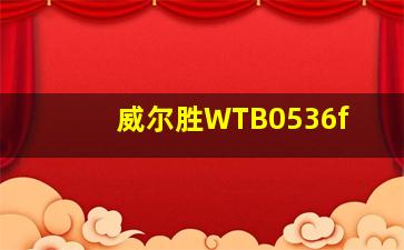 威尔胜WTB0536f