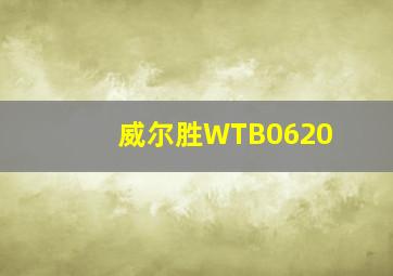 威尔胜WTB0620