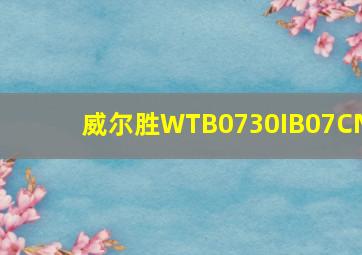 威尔胜WTB0730IB07CN