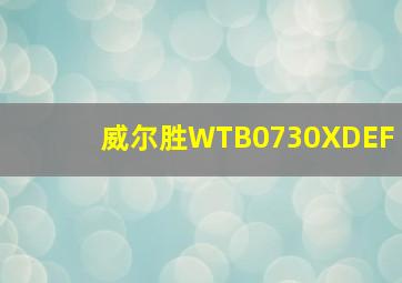 威尔胜WTB0730XDEF