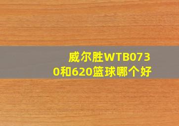 威尔胜WTB0730和620篮球哪个好