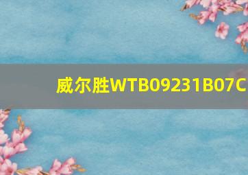 威尔胜WTB09231B07CN