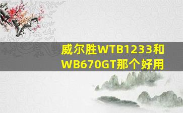 威尔胜WTB1233和WB670GT那个好用