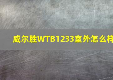 威尔胜WTB1233室外怎么样