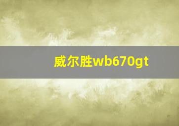 威尔胜wb670gt