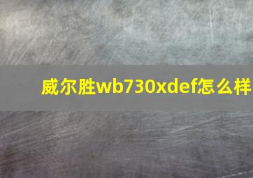 威尔胜wb730xdef怎么样