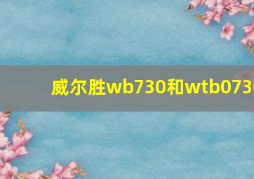 威尔胜wb730和wtb0730