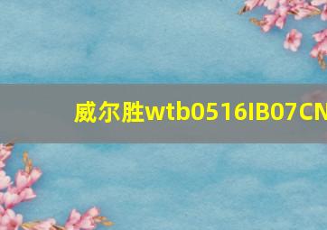 威尔胜wtb0516IB07CN