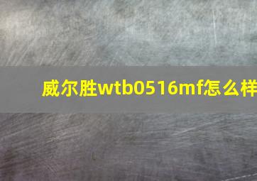 威尔胜wtb0516mf怎么样